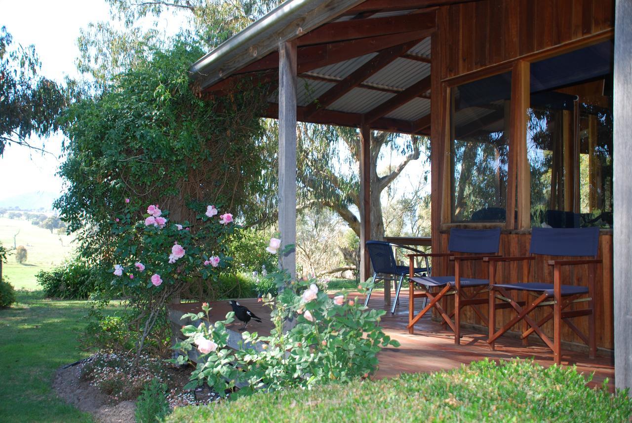 Bluegum Ridge Cottages Merrijig Exteriér fotografie
