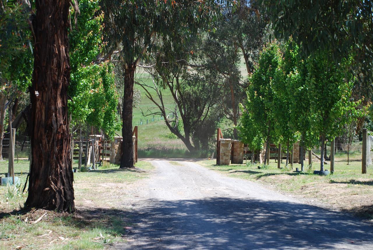 Bluegum Ridge Cottages Merrijig Exteriér fotografie