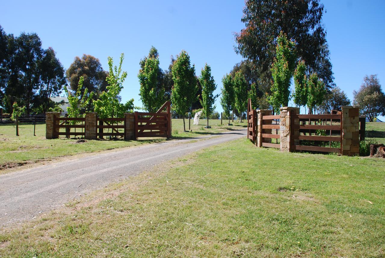 Bluegum Ridge Cottages Merrijig Exteriér fotografie