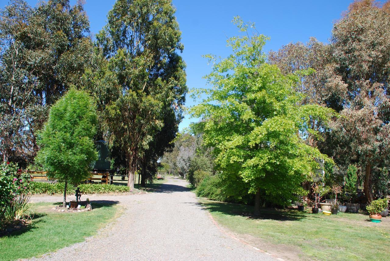 Bluegum Ridge Cottages Merrijig Exteriér fotografie