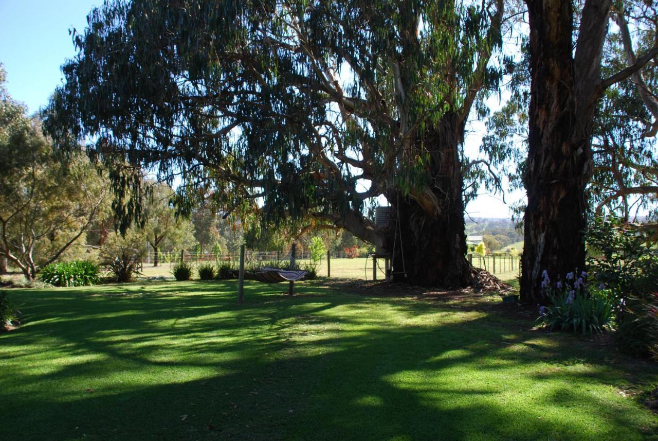 Bluegum Ridge Cottages Merrijig Pokoj fotografie