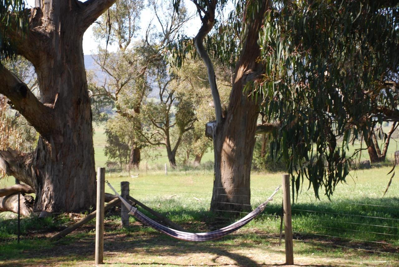 Bluegum Ridge Cottages Merrijig Pokoj fotografie