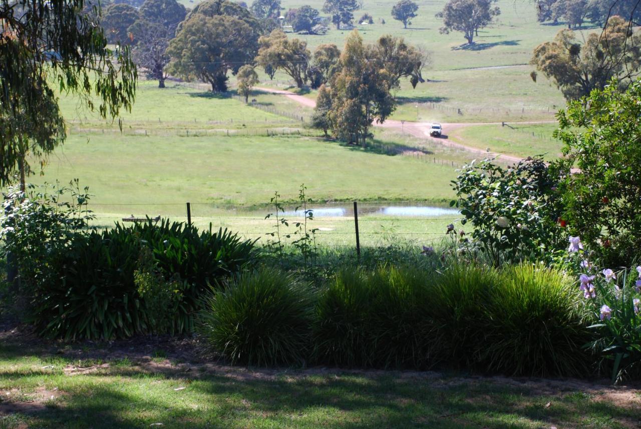 Bluegum Ridge Cottages Merrijig Pokoj fotografie